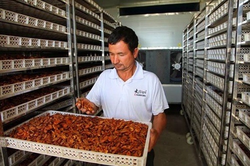 食品烘干房的特點