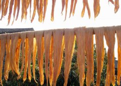 腐竹烘干房解決方案